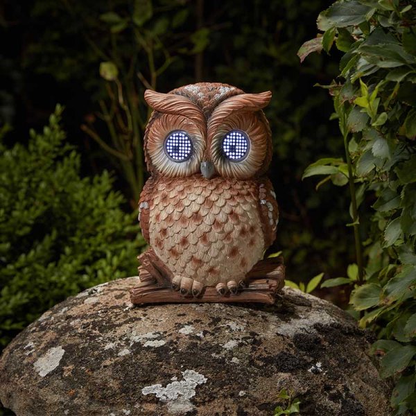 owl様 51G2oEo7GBL._AC_SY200_QL15_.jpg