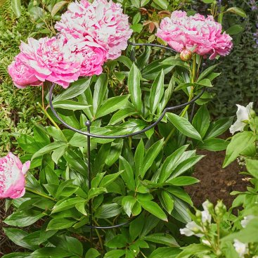 Gro-Cone 25cm with 55cm Legs