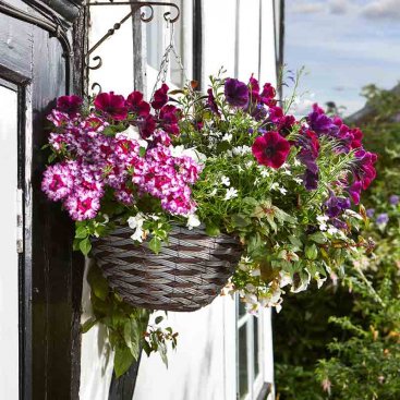 14in Pinto Faux Rattan Hanging Basket 14in Pinto Faux Rattan Hanging Basket