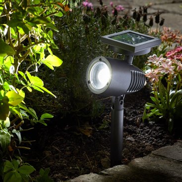 365 Functional Lighting