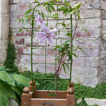 Planter Trellis - 75cm