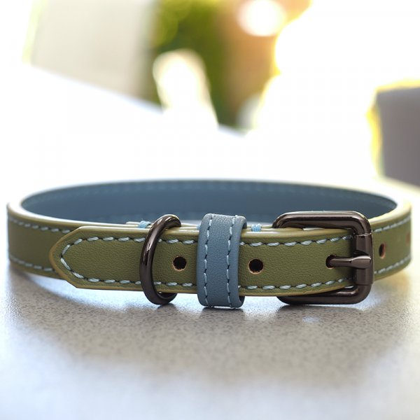 Luxe Leather Sage M WalkAbout Dog Collar (38cm45cm) Smart Garden