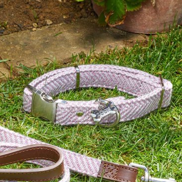 Country - Blush - L - Walkabout Dog Collar (43cm-71cm)