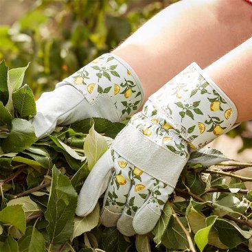 Sicilian Lemon Premium Lightweight Rigger M8