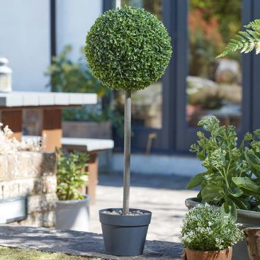 Uno Topiary Tree 80cm