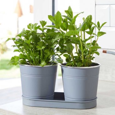 1 Litre Herb Pots - Slate 1 Litre Herb Pots - Slate