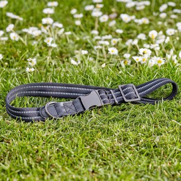 Primo - Jet - L - Walkabout Reflective Dog Collar (43cm-71cm