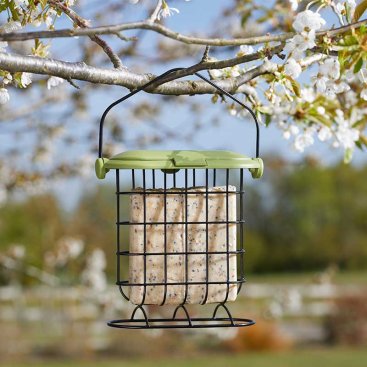 Suet Cake Feeder