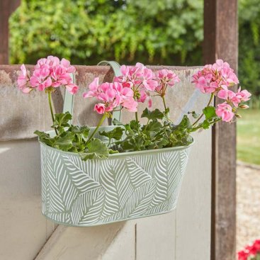 12in Fence & Balcony Hanging Planter - Fern - Sage