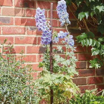 0.9m Willow Gro-Stakes, 5pk