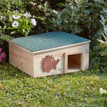 Hedgehog Home, FSC1