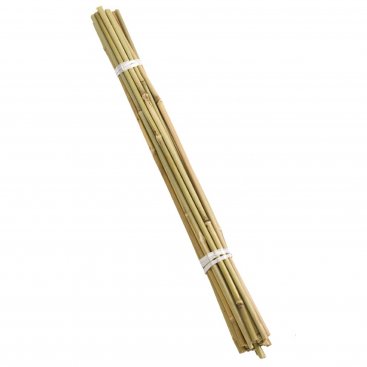 120cm Bamboo Canes Bundle 20