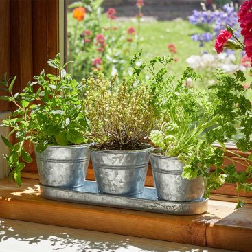 Windowsill Herb Pots - Galvanised Windowsill Herb Pots - Galvanised