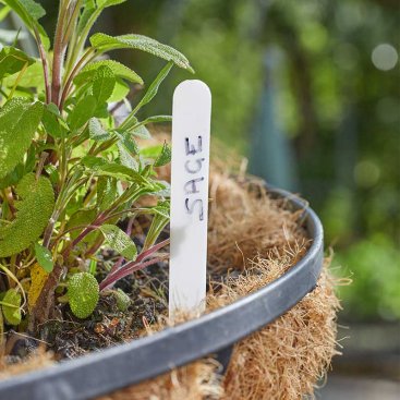 15cm Plant Labels 50pk