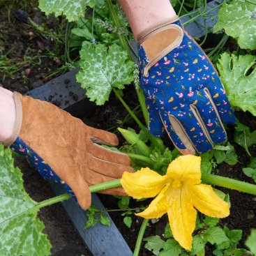 Mushrooms Smart Gardeners M8