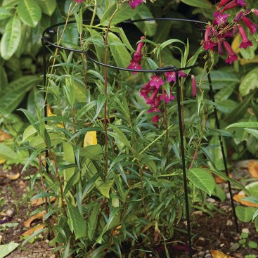 Double Flexi Ring 35cm x 90cm