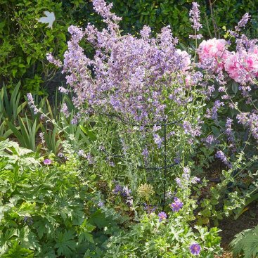 Gro-Links 20cm x 50cm