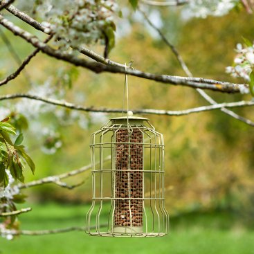 Squirrel Proof Feeders