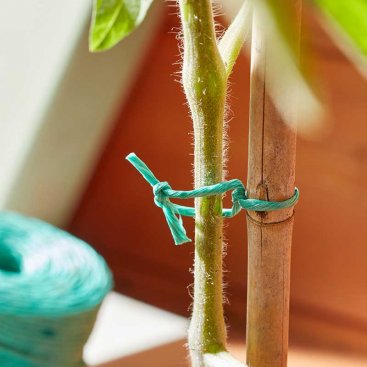 250g Rot-Proof PolyTwine - Green