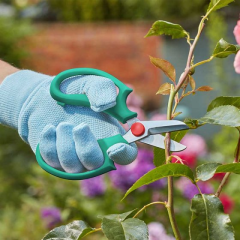 Products to help your trees stay in amazing condition! Products to help your trees stay in amazing condition!