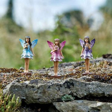 Forest Fairies