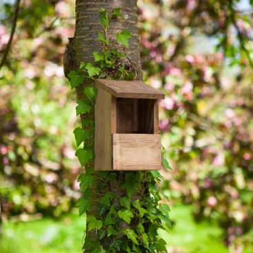 Robin Classic Nest Box, FSC1