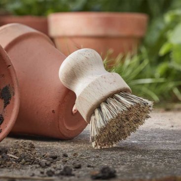 Pot & Tool Brush, FSC1