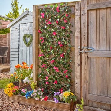 Bougainvillea 180 x 90cm Trellis