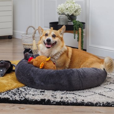 Dog Beds & Bedding