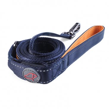 Flash & Go Rechargeable Dog Lead (120 x 2cm)