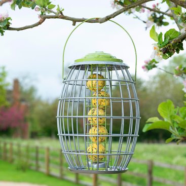 Ultra Squirrel Proof Feeders