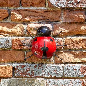 Large Decor Ladybird