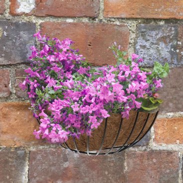 16in Smart Wall Basket 16in Smart Wall Basket