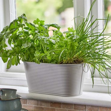 11in Ribbed Planter-Ivory 11in Ribbed Planter-Ivory