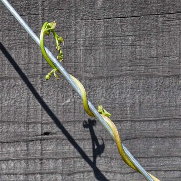 Heavy Duty Garden Wire, Galvanised, 3.0mm x 25m