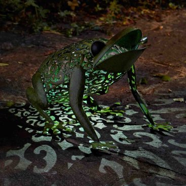 Solar Silhouette Frog