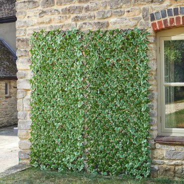 Ivy Leaf 180 x 60cm Trellis