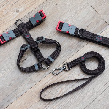 L (43cm-71cm) WalkAbout Dog Collar - Jet