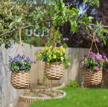 Basket Bouquet - Florets