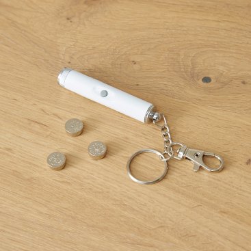 Laser Chaser Pet Toy