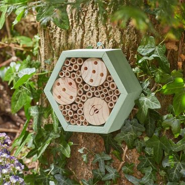 Mason Bee HexBox, FSC1