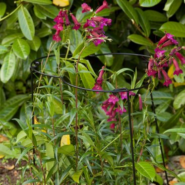 Flexi-Ring 35cm x 60cm