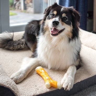 17cm Chicken Flavour Nylon TuffStick