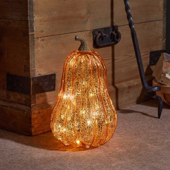 InLit Golden Squash InLit Golden Squash