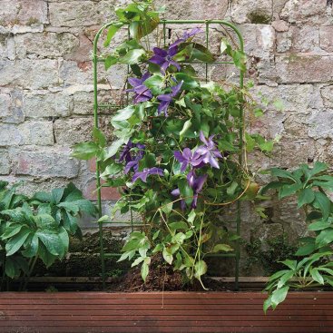 Planter Trellis - 90cm