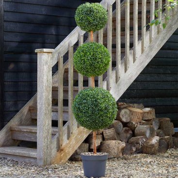 Trio Topiary Tree 150cm