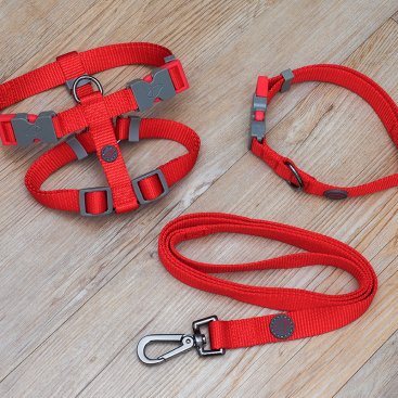 120 x 2cm WalkAbout Dog Lead/STD - Red