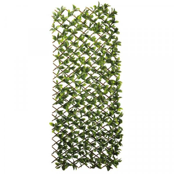 Lemon Leaf 180 x 60cm Trellis : Smart Garden Products