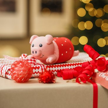 Pig In Blanket PlayPal - Latex