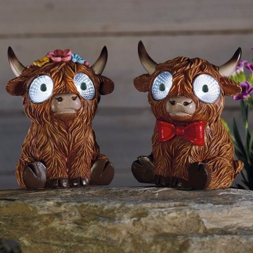 Bright Eyes Highlander